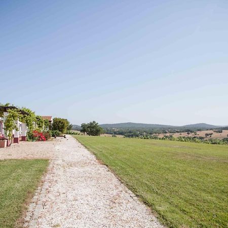 Stunning Mansion In Sao Cristovao Villa Montemor-o-Novo Eksteriør billede