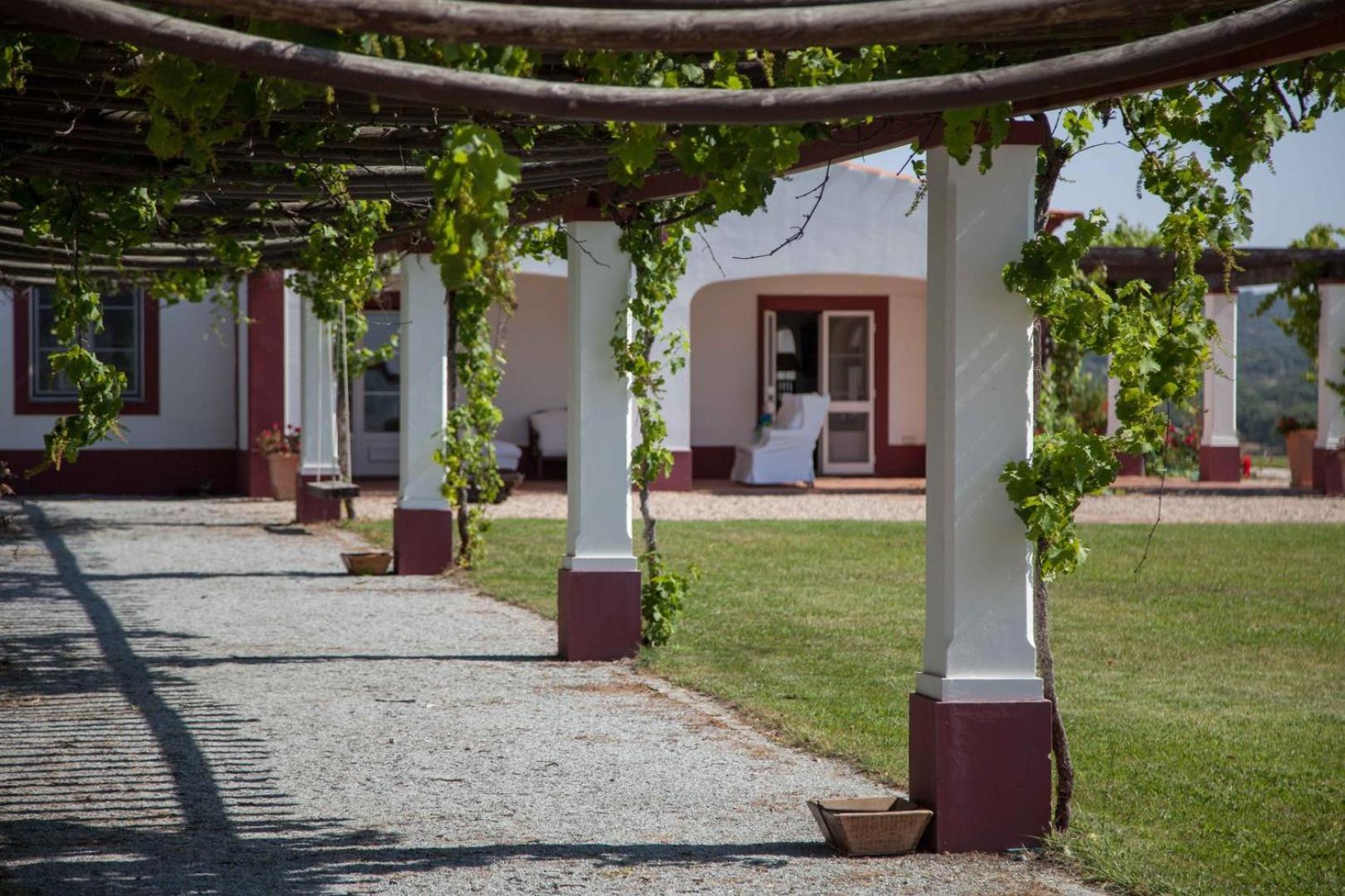Stunning Mansion In Sao Cristovao Villa Montemor-o-Novo Eksteriør billede