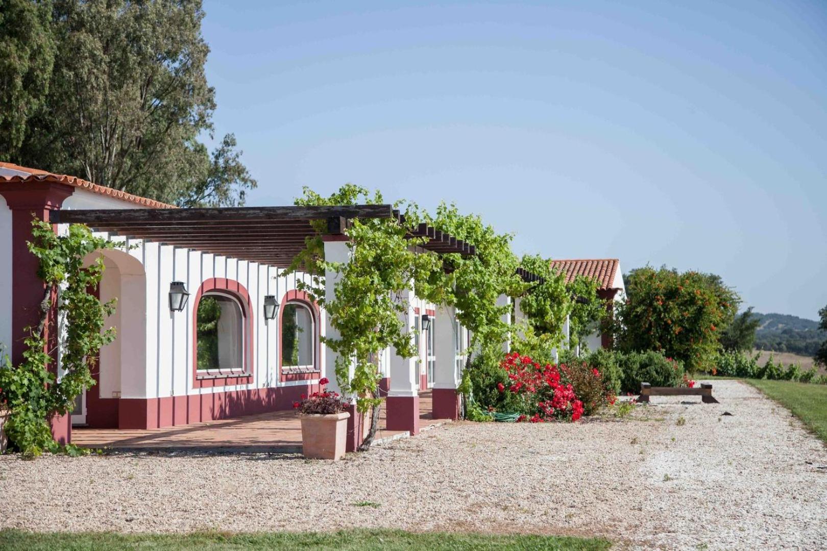 Stunning Mansion In Sao Cristovao Villa Montemor-o-Novo Eksteriør billede